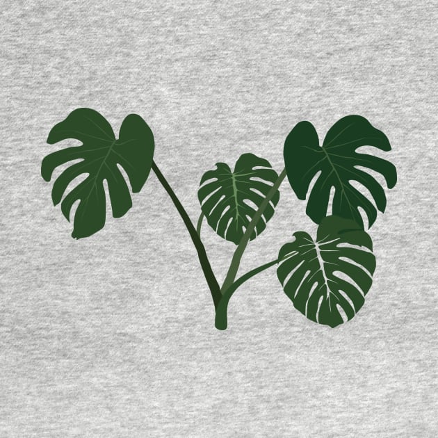 Monstera deliciosa by daidai